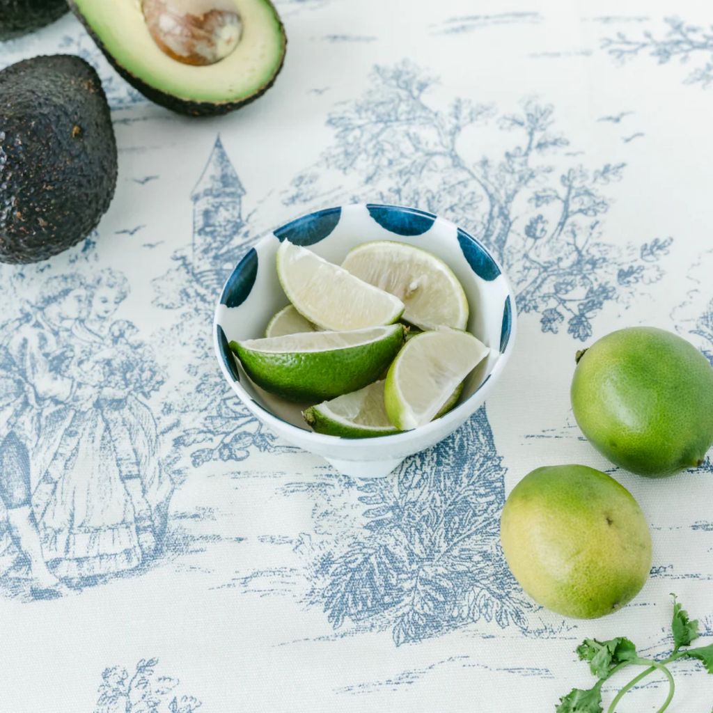 Prepara Small Taco Prep Bowl - Coastal Stripe