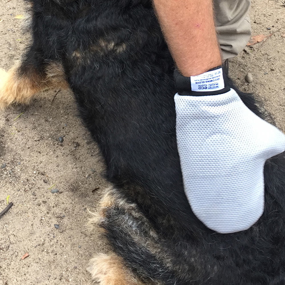 Grooming Glove