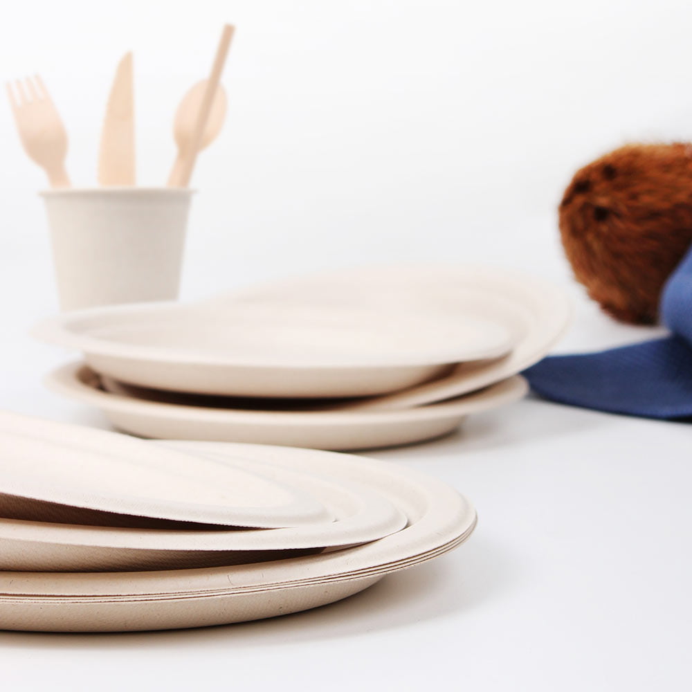 Eco Basics Biodegradable Party Set