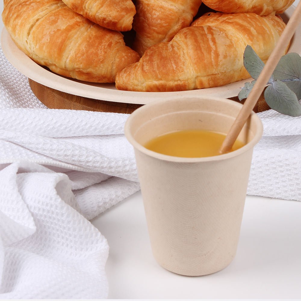 Eco Basics Biodegradable Sugarcane Cup – 10pcs